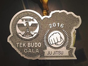 TEK 2016 évi Budo és Küzdősport Gála