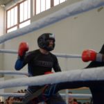 Kesztyűs Expert küzdelem a ringben