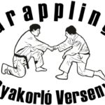Gyakorlo_Verseny_emblema_FB_kiskep