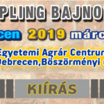 Poster- A4 – (2018-2018-s02) -F- 05. – Fordulo_Debrecen_Wp_Featured_Kiir640x335